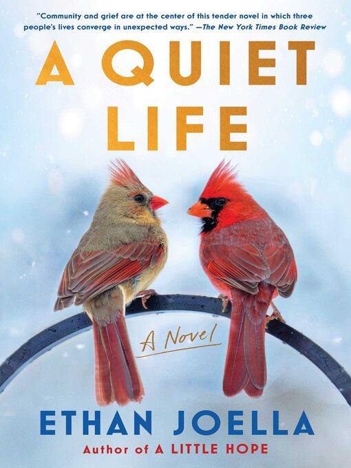 Title details for A Quiet Life by Ethan Joella - Available